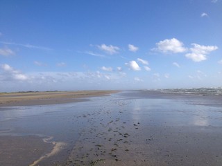 Strand auf Fanø