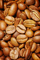  coffee grains