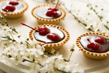 Mini tarts with chocolate and cherries decorated cherry blossom on white wooden background. Selective focus