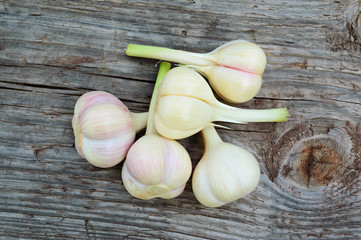 Fresh garlic on the old wooden table