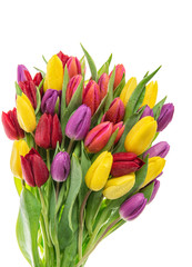 Tulip flowers. Bouquet of resh spring blooms