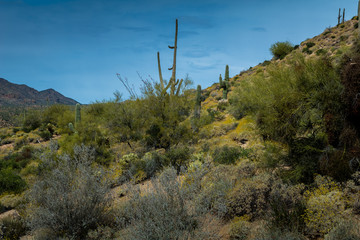 Hidden Treasures abound around Phoenix Arizona
