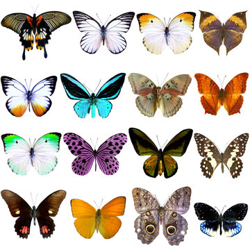 รูปภาพAlcides – เลือกดูภาพถ่ายสต็อก เวกเตอร์ และวิดีโอ35,059 | Adobe Stock
