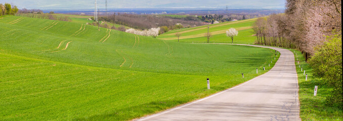 Landstraße in hügeliger Landschaft im Frühling