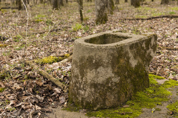 Toilet Remains / A concrete toilet is all that remains of an old camp bathroom in the woods.
