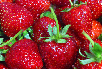 close up strawberry - 107704656
