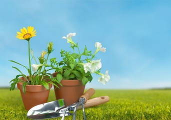 Gardening Equipment.