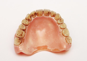 dentures, teeth, human teeth, cavities, dentistry, shape, weight, artificial, barks, hygiene, cavity, oral,
