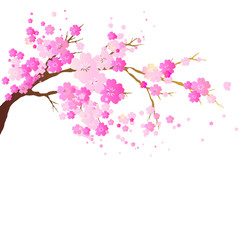 Fototapeta premium cherry branch