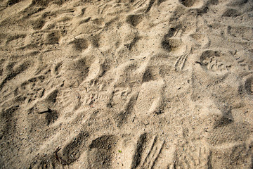 Texture of sand and footprints