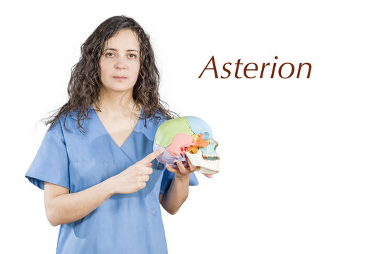 Physiotherapy/doctor pointing to a conjunction of suture in a sk