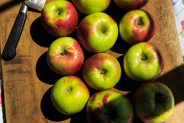 Making applesauce with Hudson Valley organic McIntosh apples