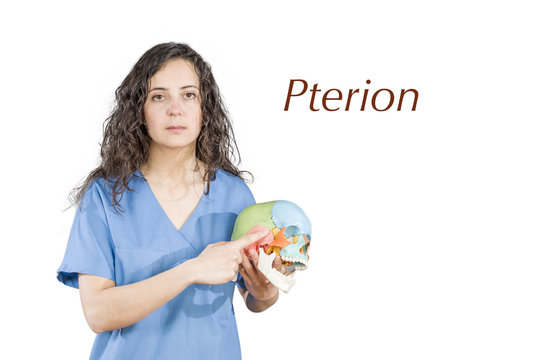 Physiotherapy/doctor pointing to a conjunction of suture in a sk