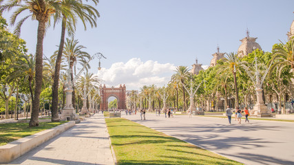 Fototapeta premium Palm trees on the boulevard in Barcelona