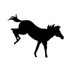 Wild horse silhouette
