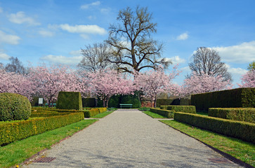 Die Gärten von Schloss / Kloster Salem