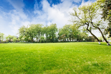 Fototapeta na wymiar The beautiful green lawn in the spring park