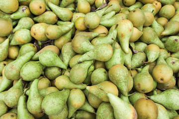 Green pears.  Fresh pears