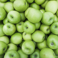 Green apples.  Group of green apples