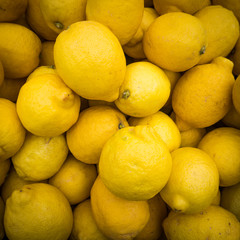 lemons background.   Group of fresh lemons