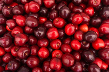 Red Cherries. Cherry selection