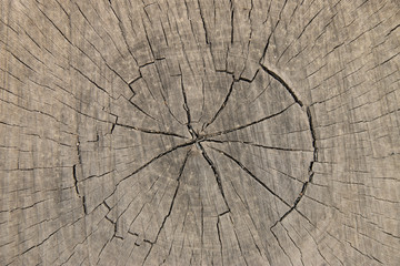 wood texture