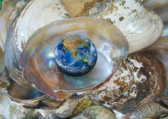 the earth with oyster , including elements furnished by NASA