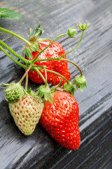 Ripe strawberry fruit grows in the plantation