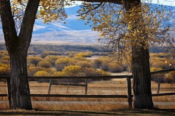 Country Living in Montana
