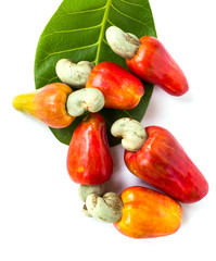 cashew nut and leaf on white background