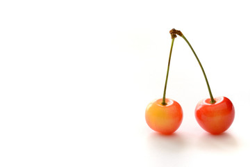 サクランボ　白色背景

