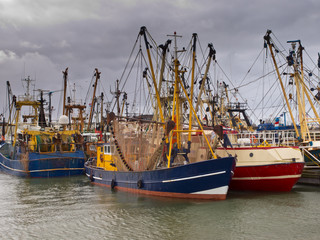Fishing boats