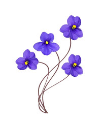 Bouquet of colorful flowers of violets.