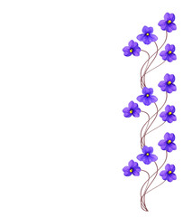 Obraz na płótnie Canvas Bouquet of colorful flowers of violets.