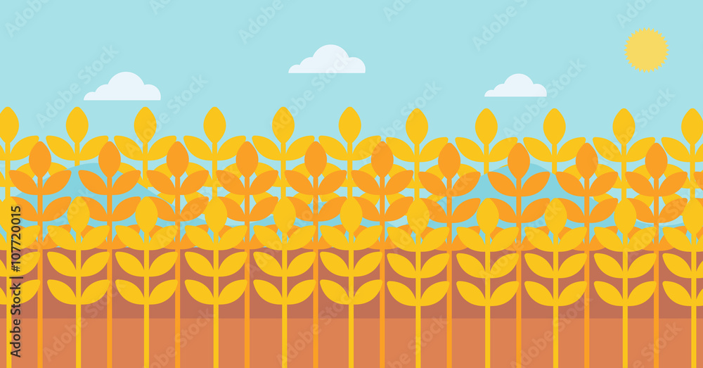 Poster background of wheat field.