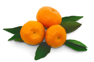 tangerine isolated on  white