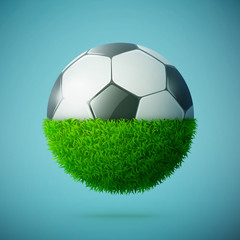 Half of green grass sphere with soccer ball concept