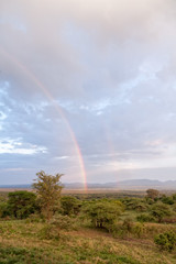 Rainbow over savanna plain at dawn. Serengeti National Park, Tanzania, Africa. 
