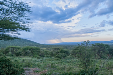 Fototapeta na wymiar Savanna plain against distance view of mountain against storm cloudy sky background. Serengeti National Park, Tanzania, Africa. 