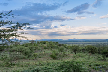 Savanna plain against distance view of mountain against storm cloudy sky background. Serengeti National Park, Tanzania, Africa. 

