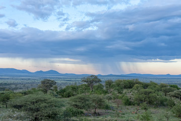 Savanna plain against distance view of mountain against storm cloudy sky background. Serengeti National Park, Tanzania, Africa. 
