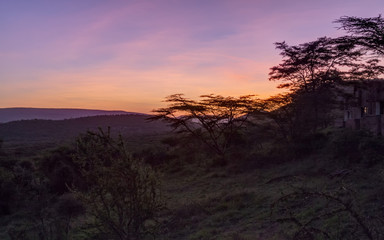Acacia tree on slope against bright sunrise glow over mountain background. Serengeti National Park, Tanzania, Africa.
