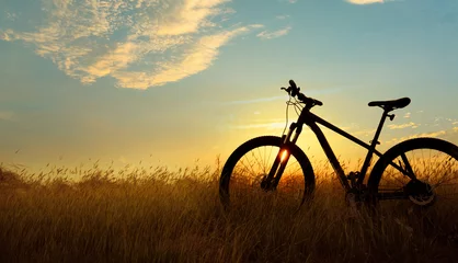 Wall murals Bicycles Silhouette Mountain biking, down hill at sunset