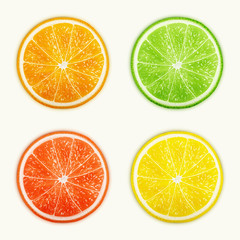 Set of citrus fruits. Orange, Lime, Grapefruit, Lemon.
