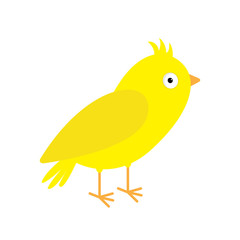 Canary bird. Yellow feather. Isolated  White background. Flat design style.