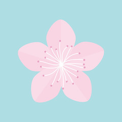 Sakura flower icon. Japan blooming cherry blossom Isolated Blue background Flat design