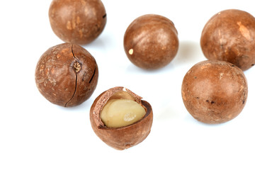 Macadamia nut.