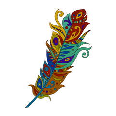 bright colored bohemian boho bird feather