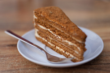 Beautiful close-up of honey cake