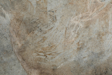 White walls are textured